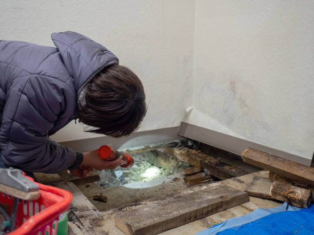 Best Mold Damage Restoration  in Fairview, OR