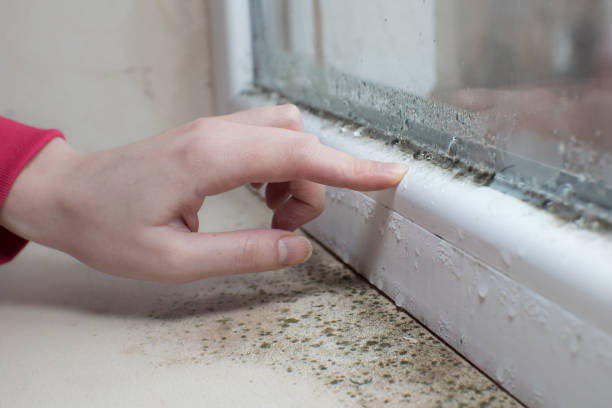 Best Mold-Related Health Consultation  in Fairview, OR