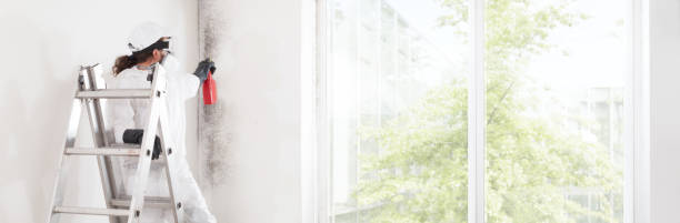 Best Post-Remediation Verification Testing  in Fairview, OR