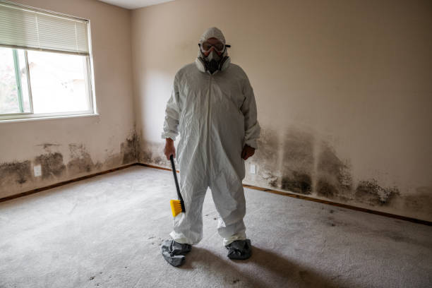 Best Industrial Mold Remediation  in Fairview, OR